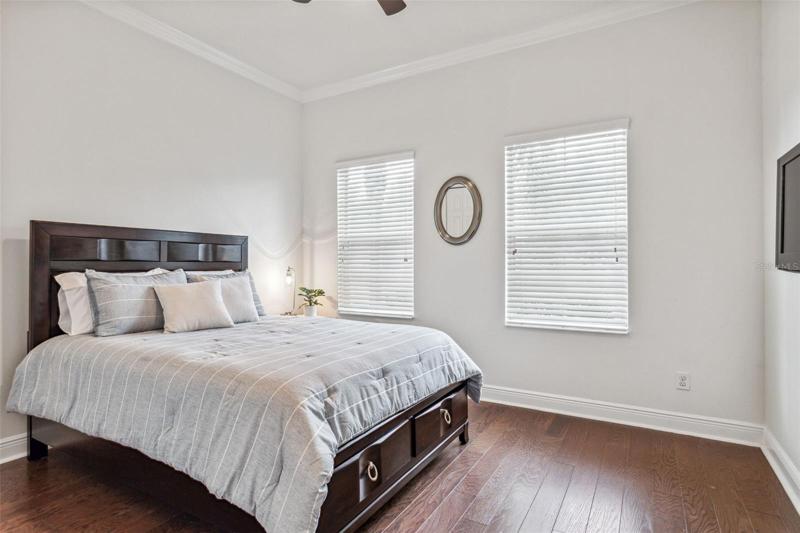 Downstairs Guest Room