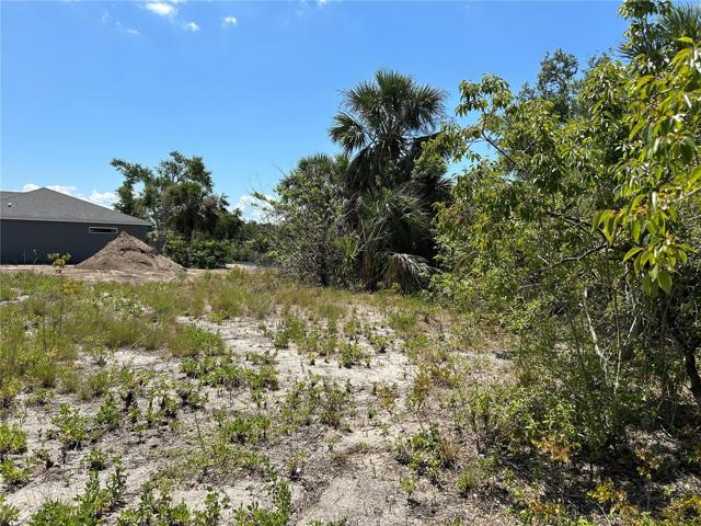 Looking to the lot's adjacent new home.