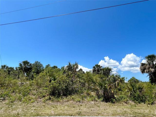 View of the nearly 1/2 acre lot from the road