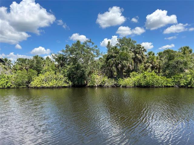 The large palms on this spacious lot