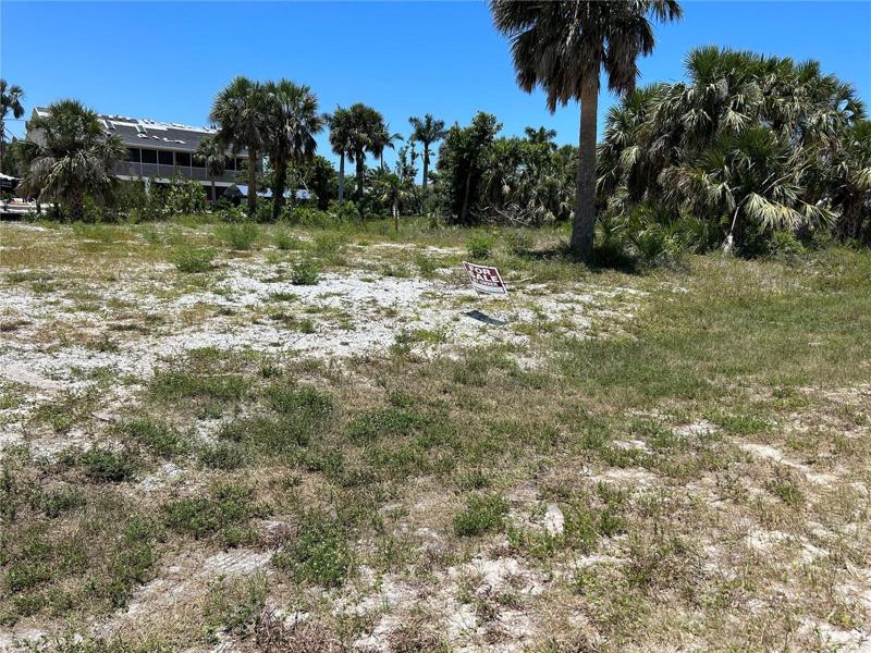 Another view of the lot