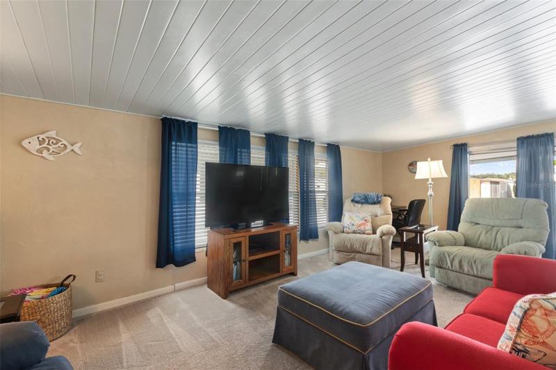 LARGE LIVING ROOM