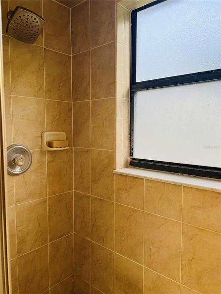 Master Shower