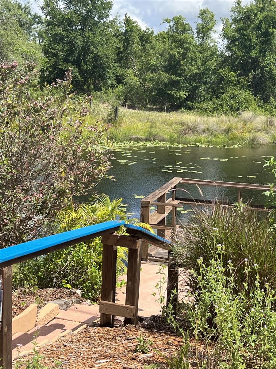 Stairway to the pond