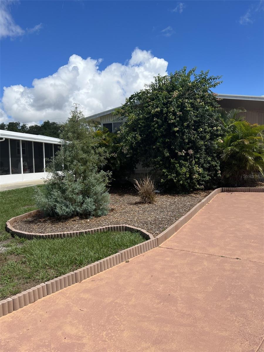 Front yard landscaping