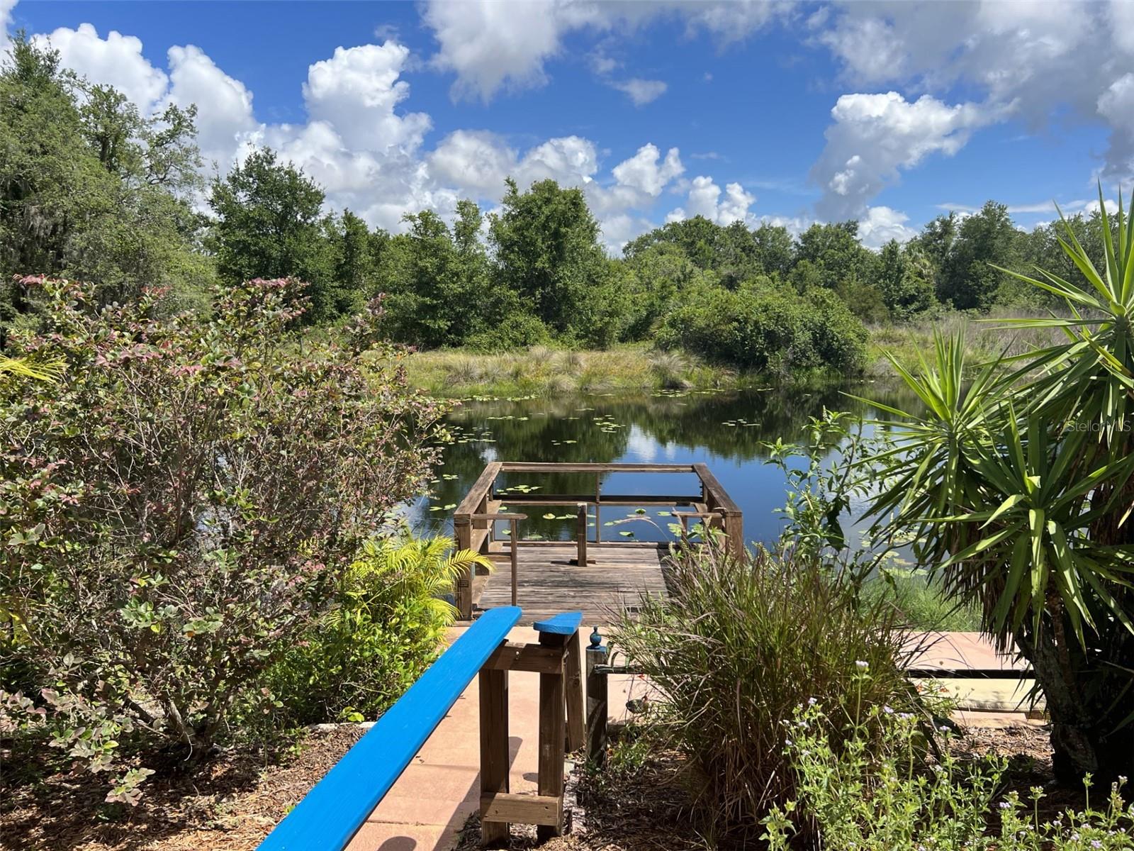 Your backyard