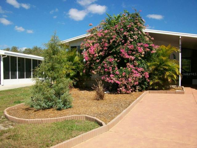 Blooming Bouganvillea
