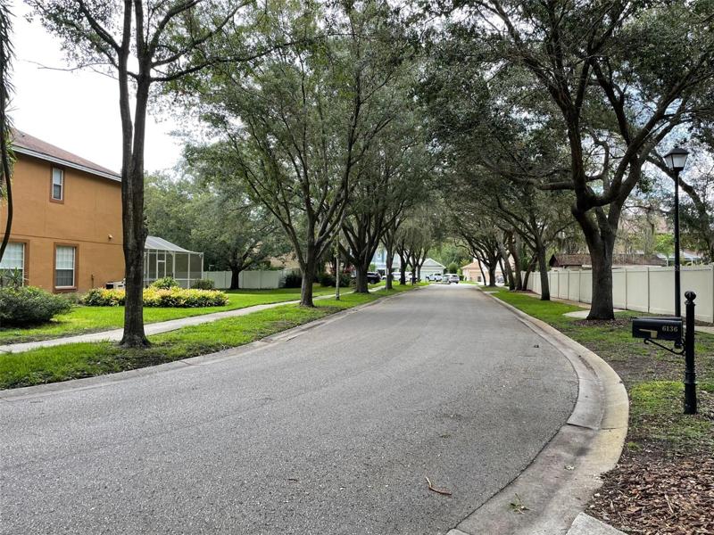 Neighborhood Street Views