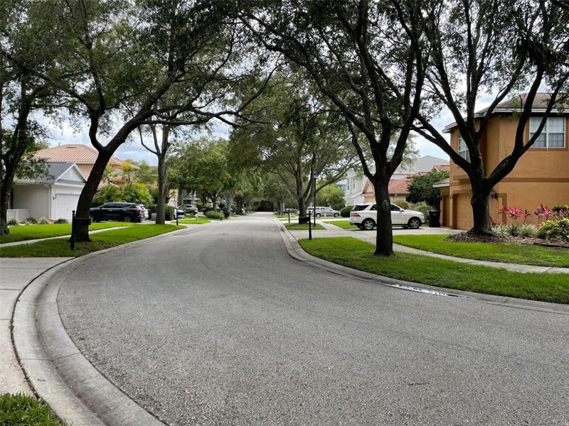 Neighborhood Street Views