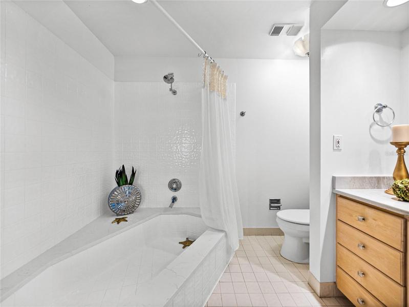 The shower/ sunken tub is roomy enough to host a party!