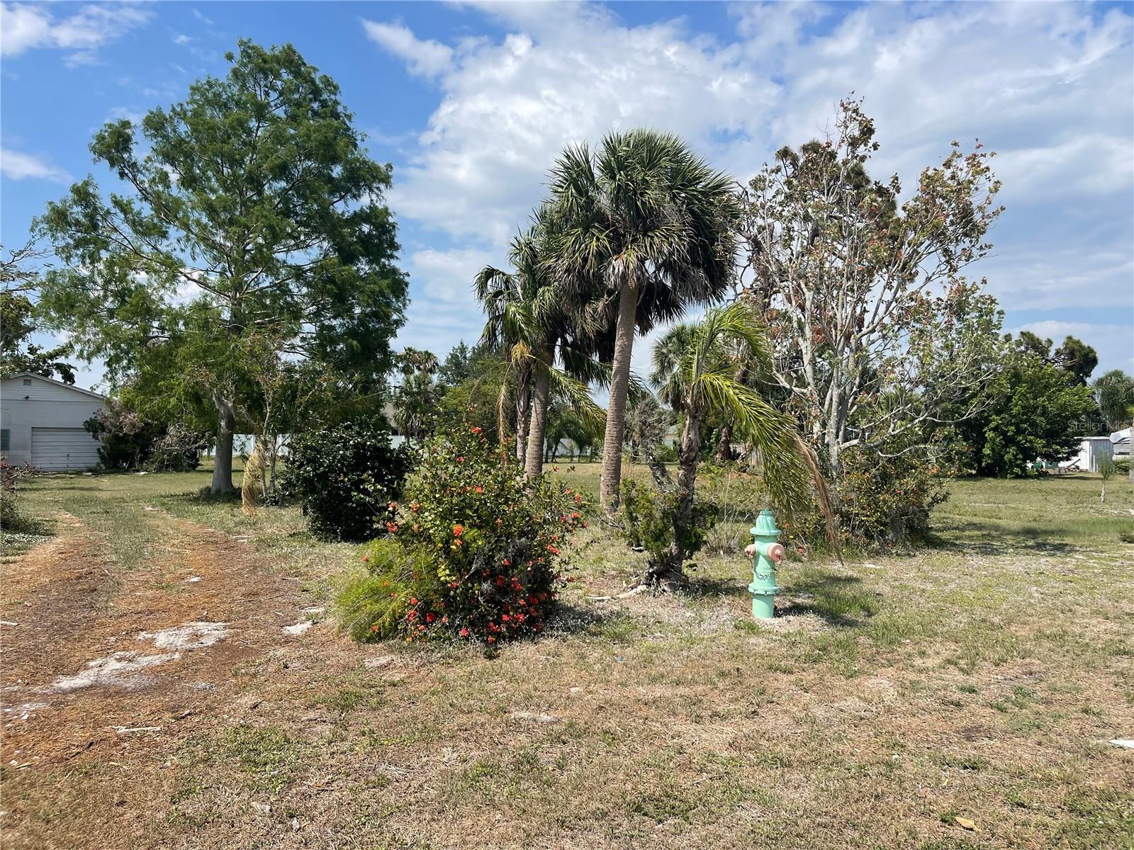 Large lot