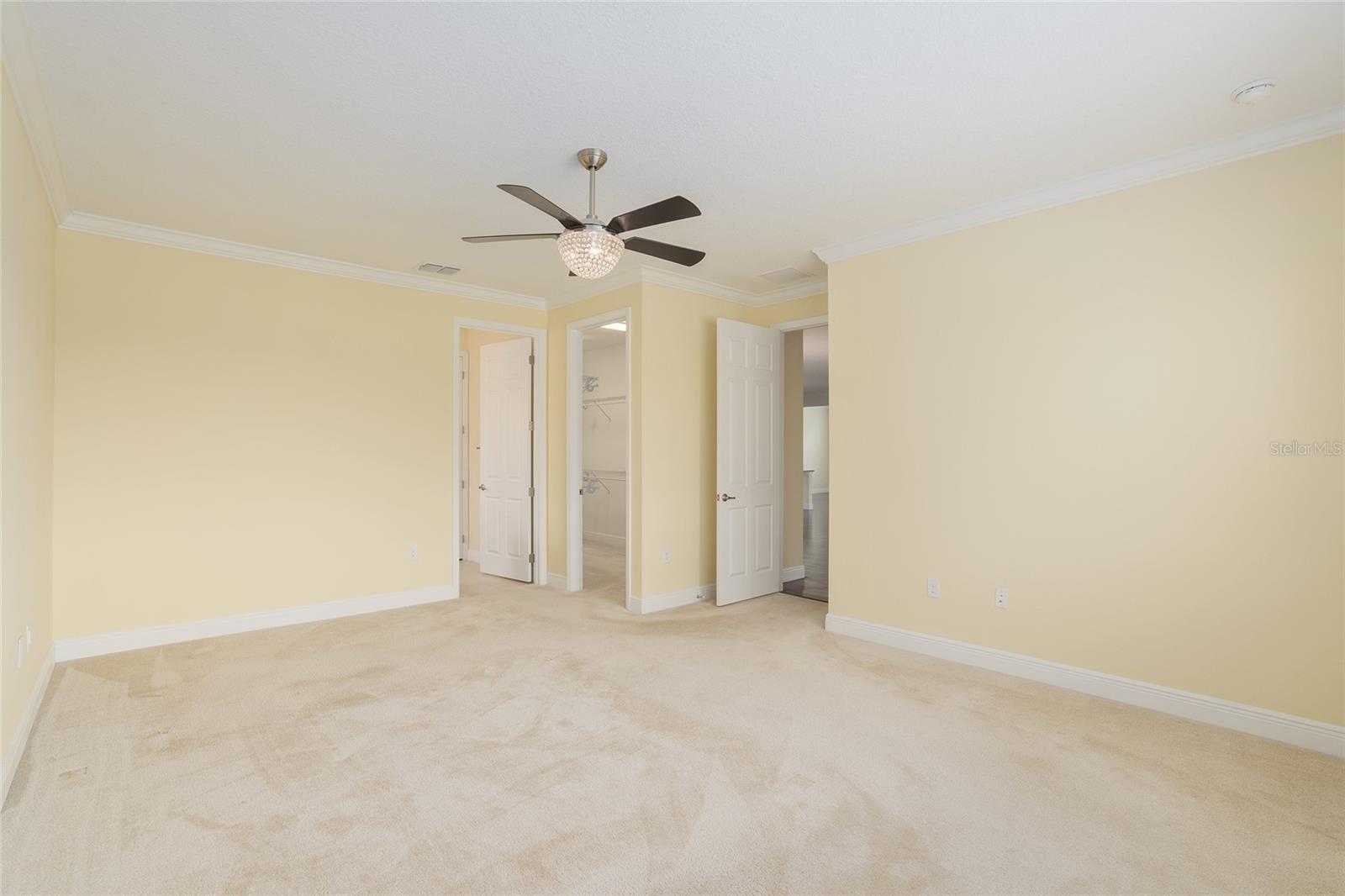 Large walk-in closet
