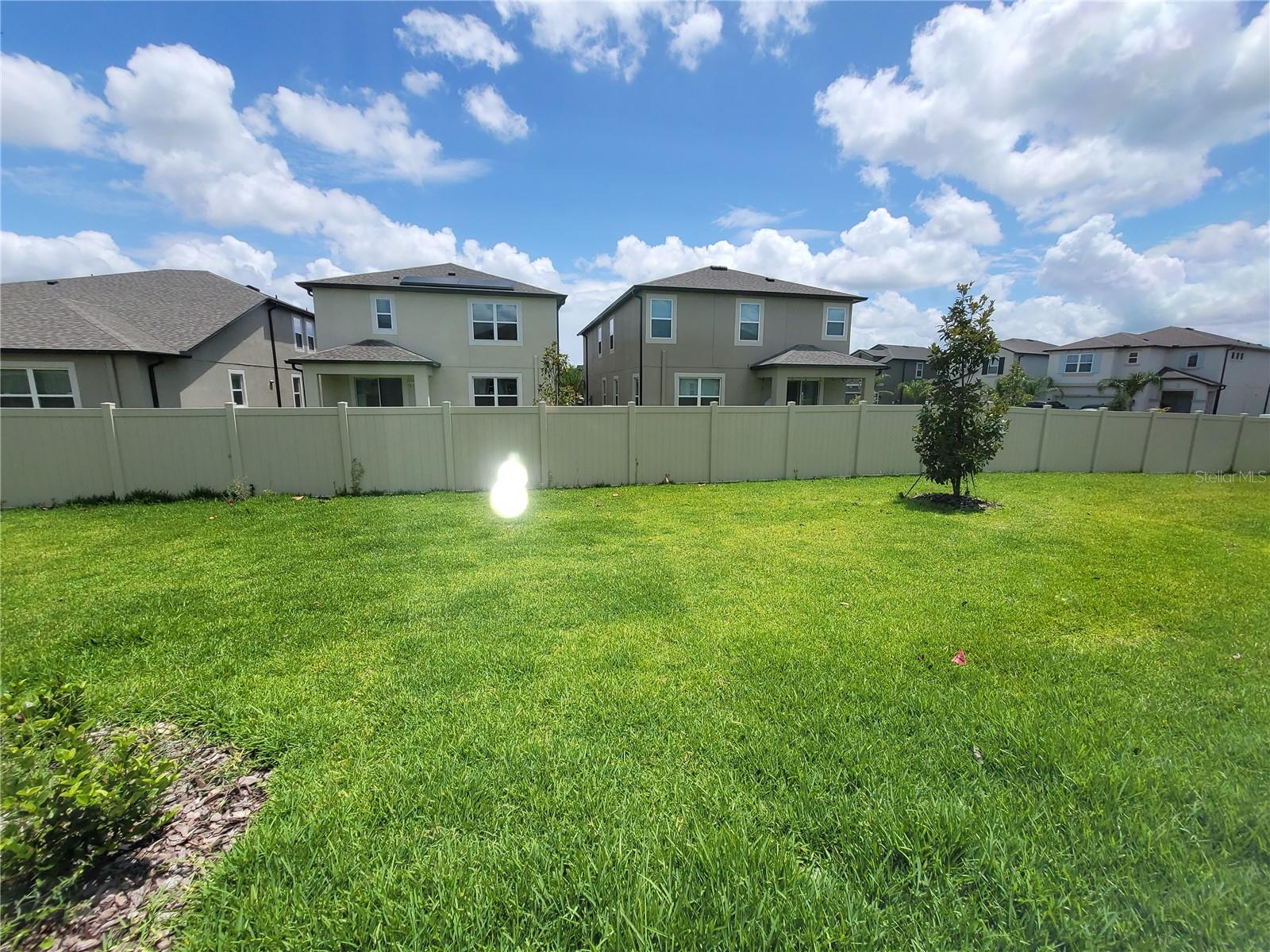 Backyard View