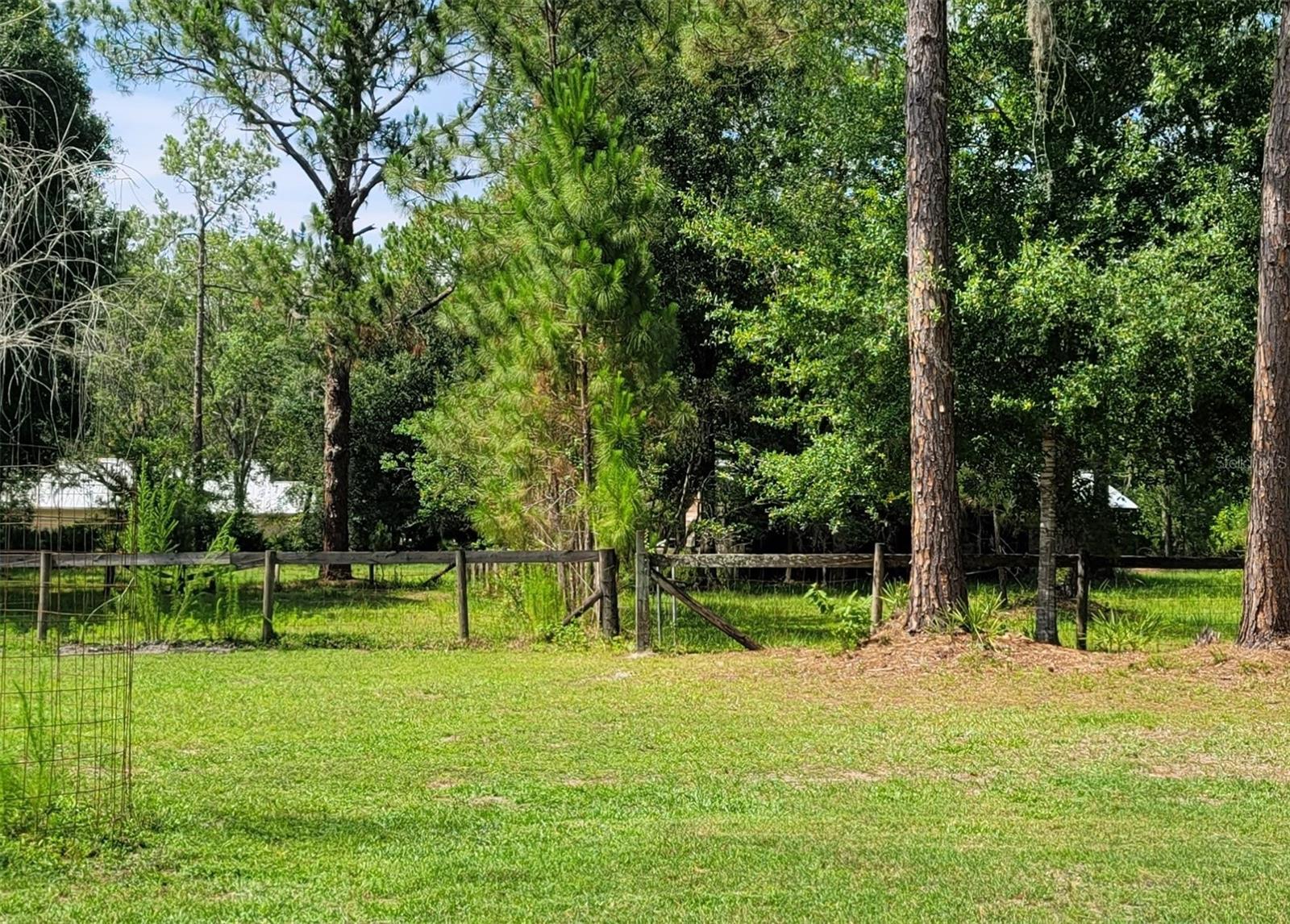 View looking North from adjoinint property