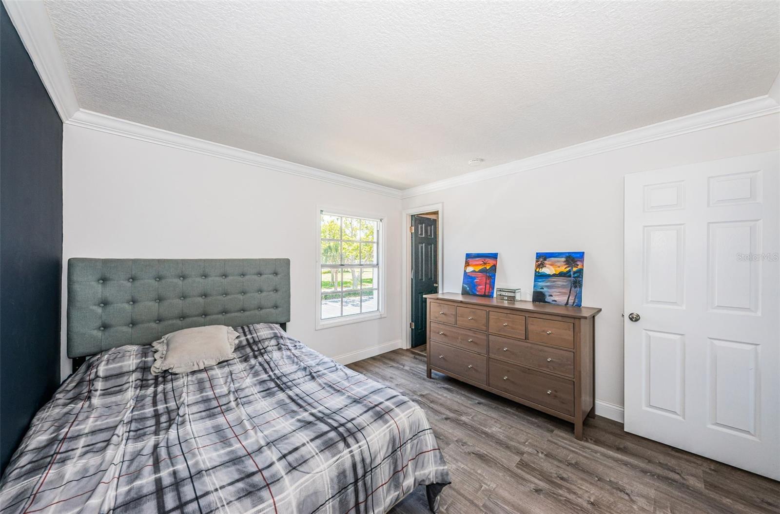 Spacious Bedroom with moody accent wall