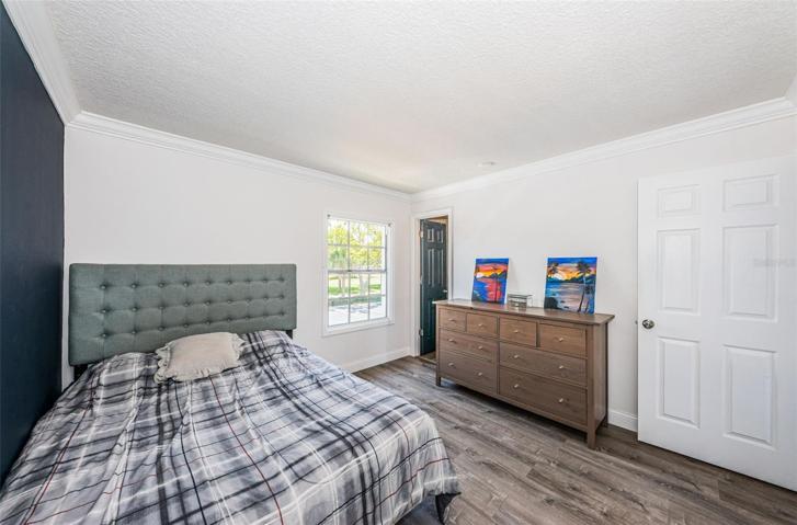 Spacious Bedroom with moody accent wall