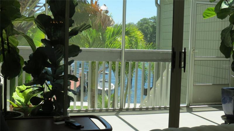 View from living room