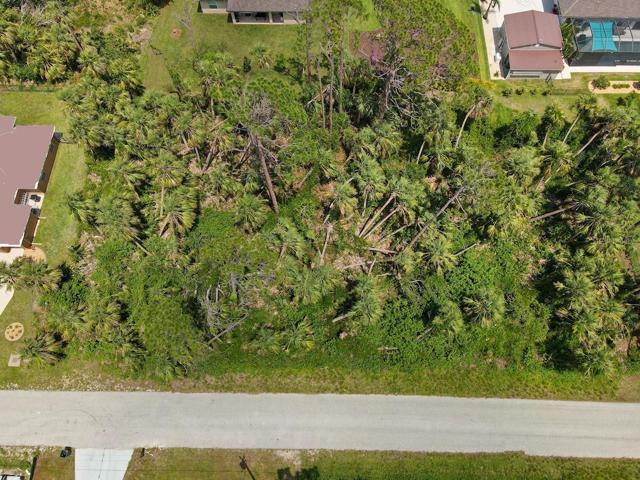 Easy to clear - Brush and thin trees