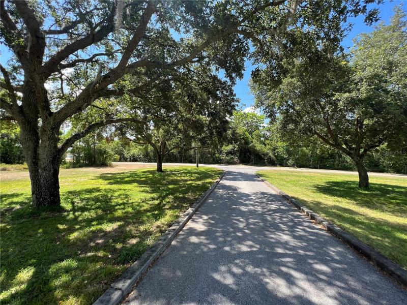 Beautiful tree lined driveway to main residence