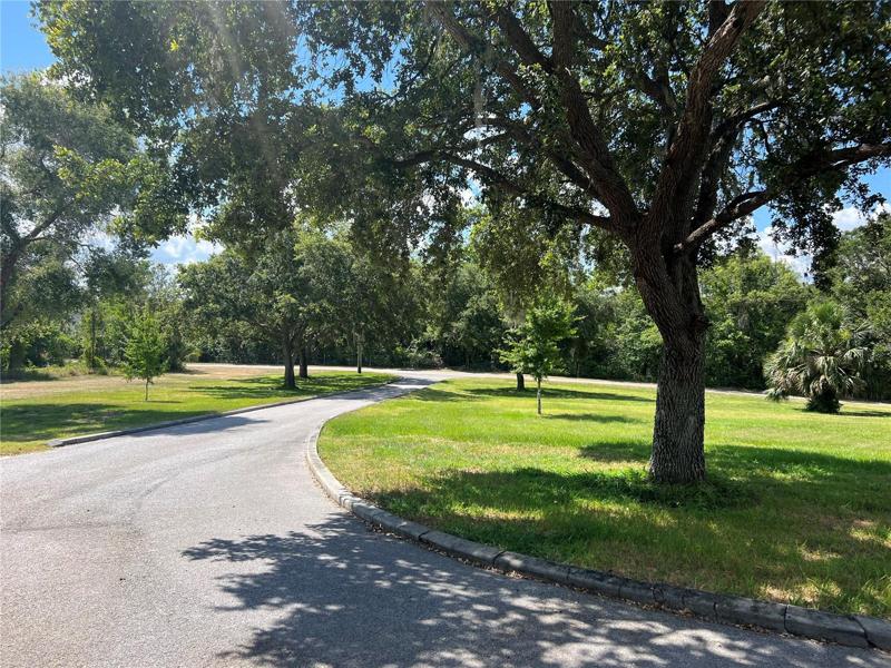 beautiful driveway to main residence