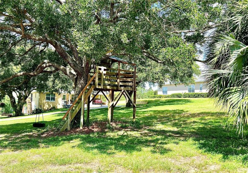 Tree house