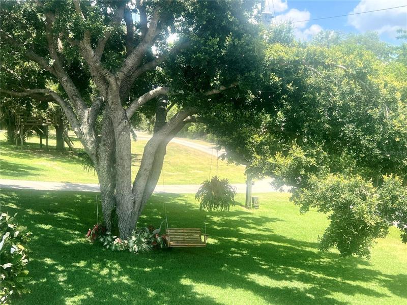 Lovely park like setting in yard of 2nd home