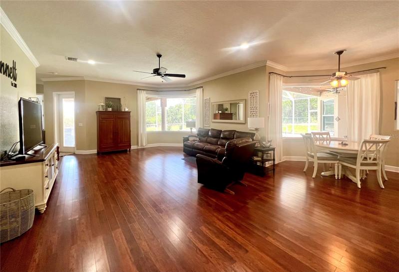 Spacious family room