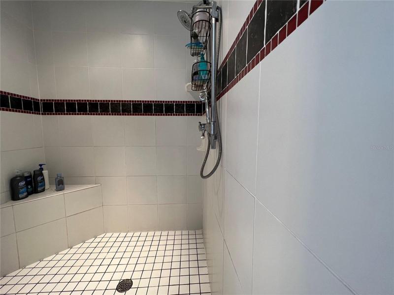 Spacious step-in shower in master bath