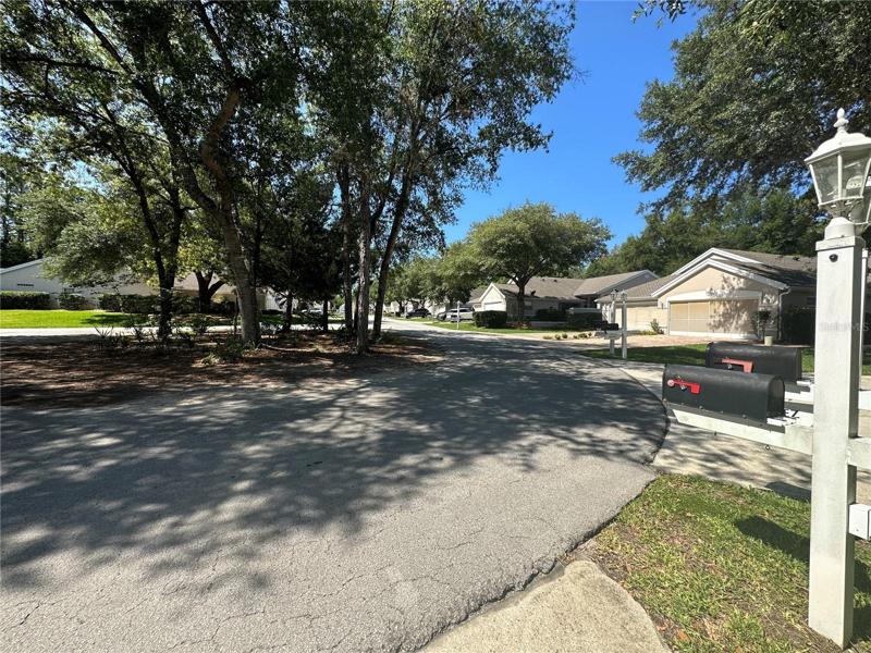 Cul de sac view from driveway