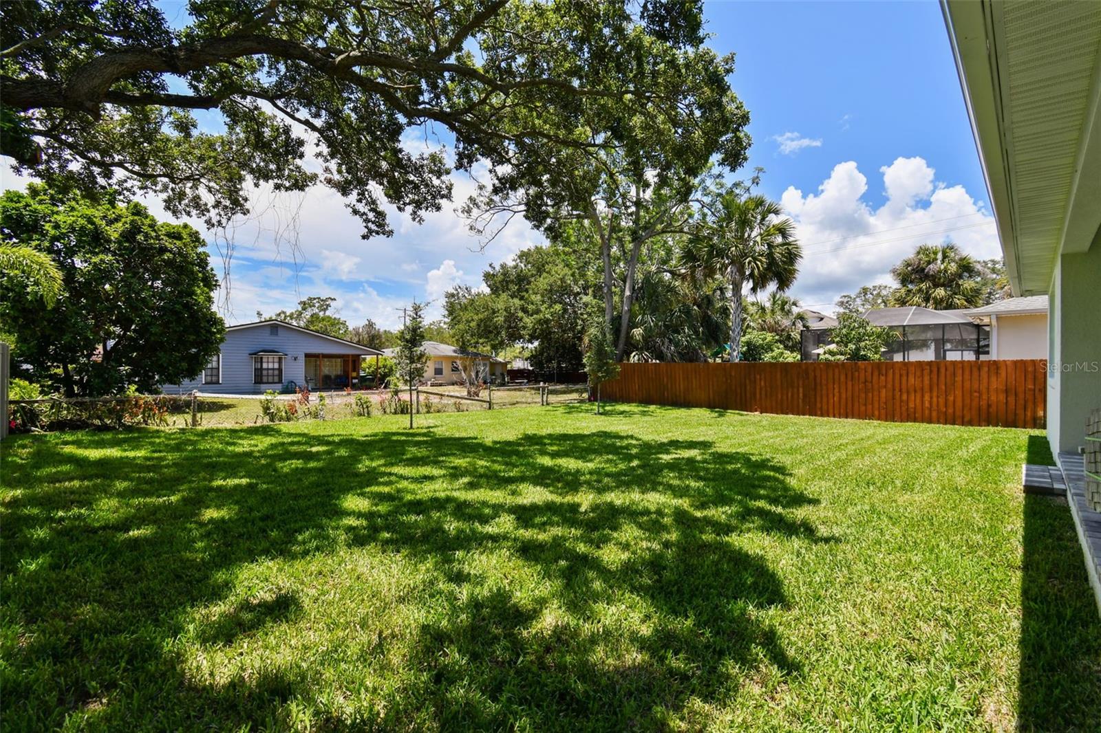 Backyard