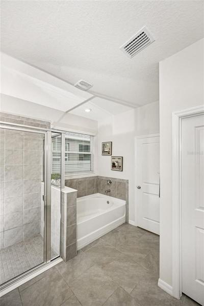 Master separate tub and walk-in shower