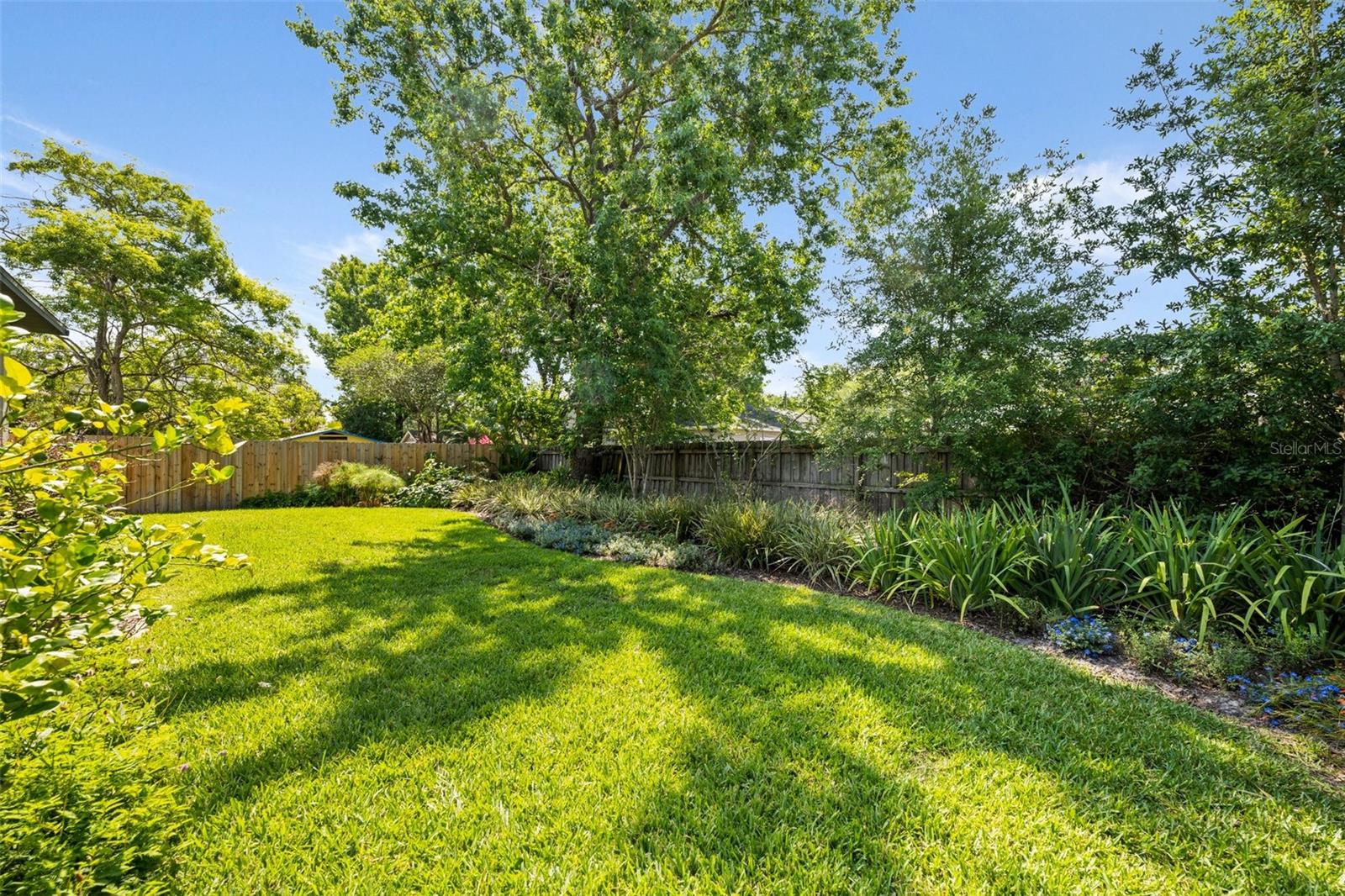 Rear Yard Looking Out