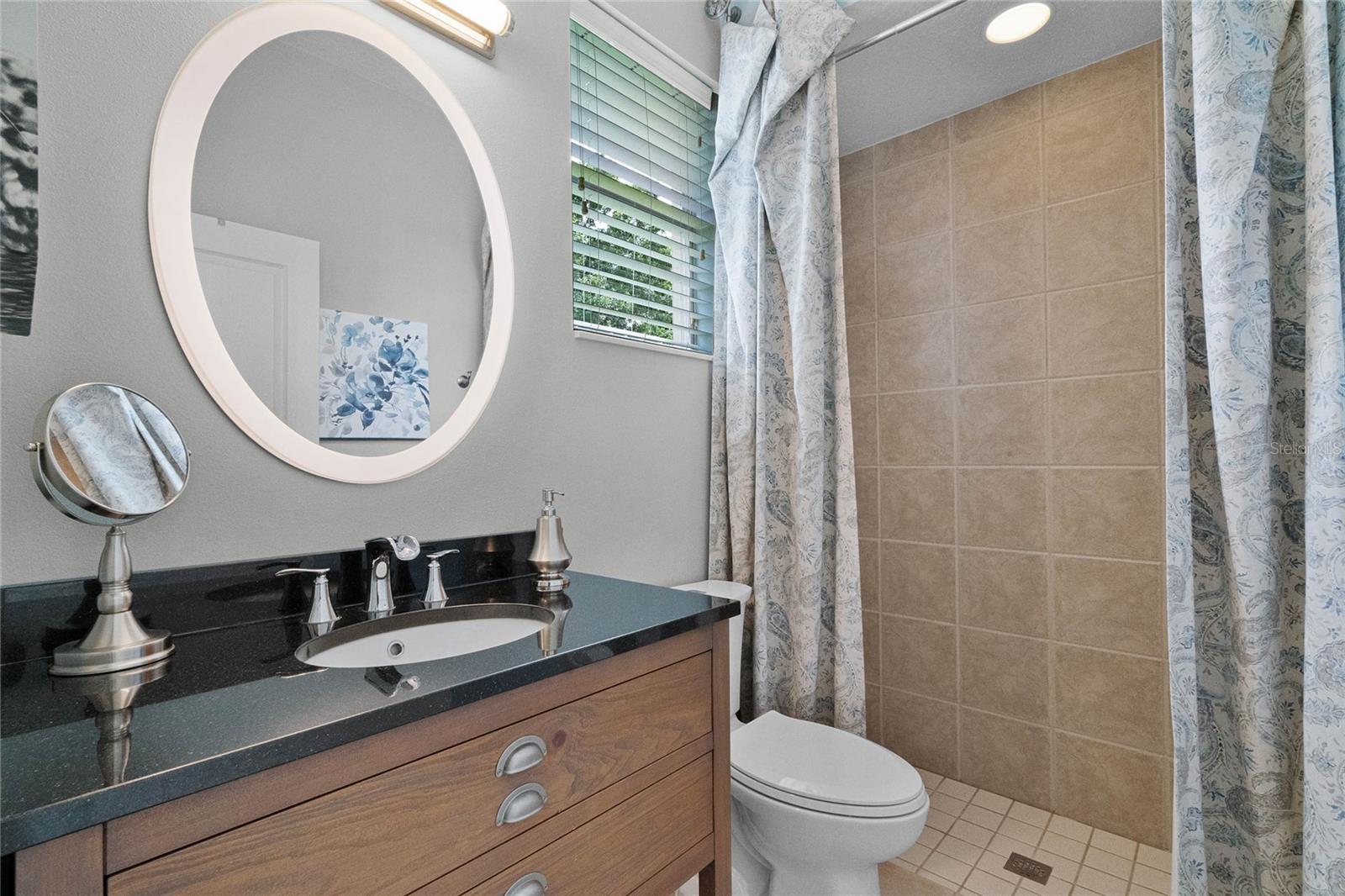 GUEST BATH/POTENTIAL FUTURE POOL BATH, NEW VANITY, MIRROR AND LIGHTING. WALK-IN SHOWER