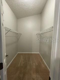 bedroom 1 closet