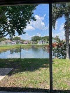 pond view