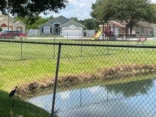 pond view