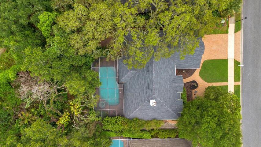 Bird's-Eye View