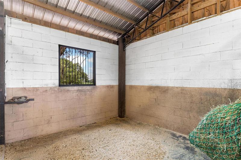 Horse Stable