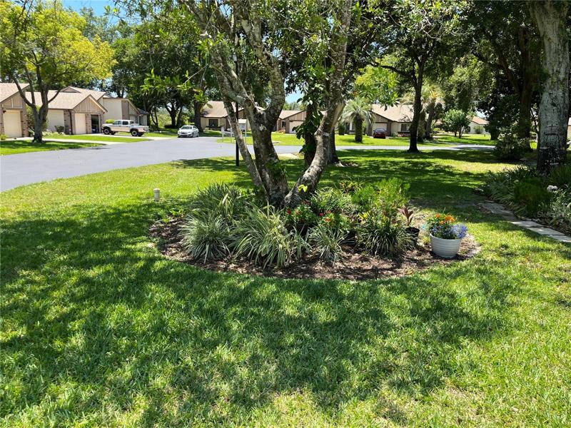 Landscaped Yard