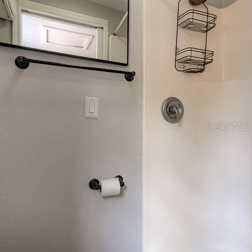 Bathroom in Mother In Law Suite.