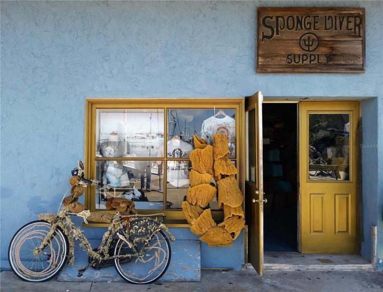 Tarpon Springs Sponge Docks