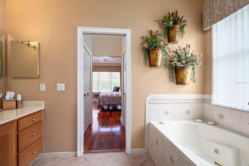 Master Bathroom with Jacuzzi Tub