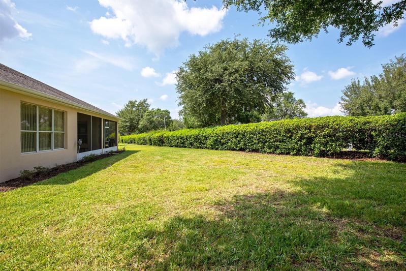 Backyard- Very Spacious