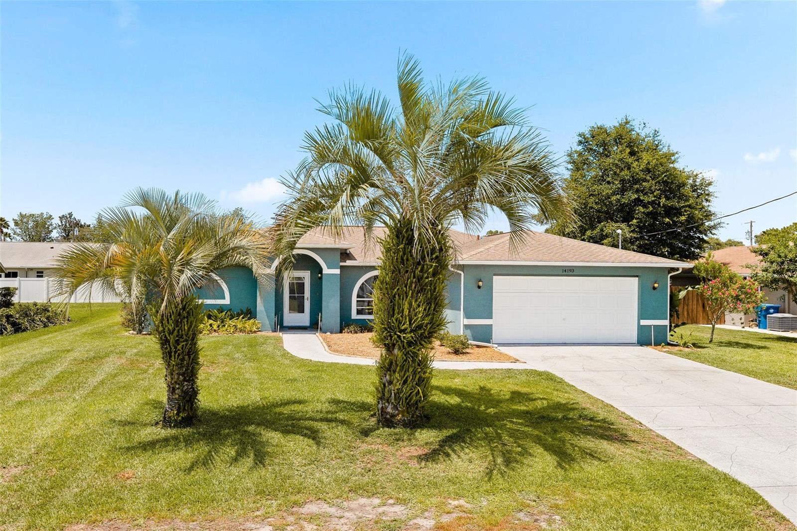 palm trees front
