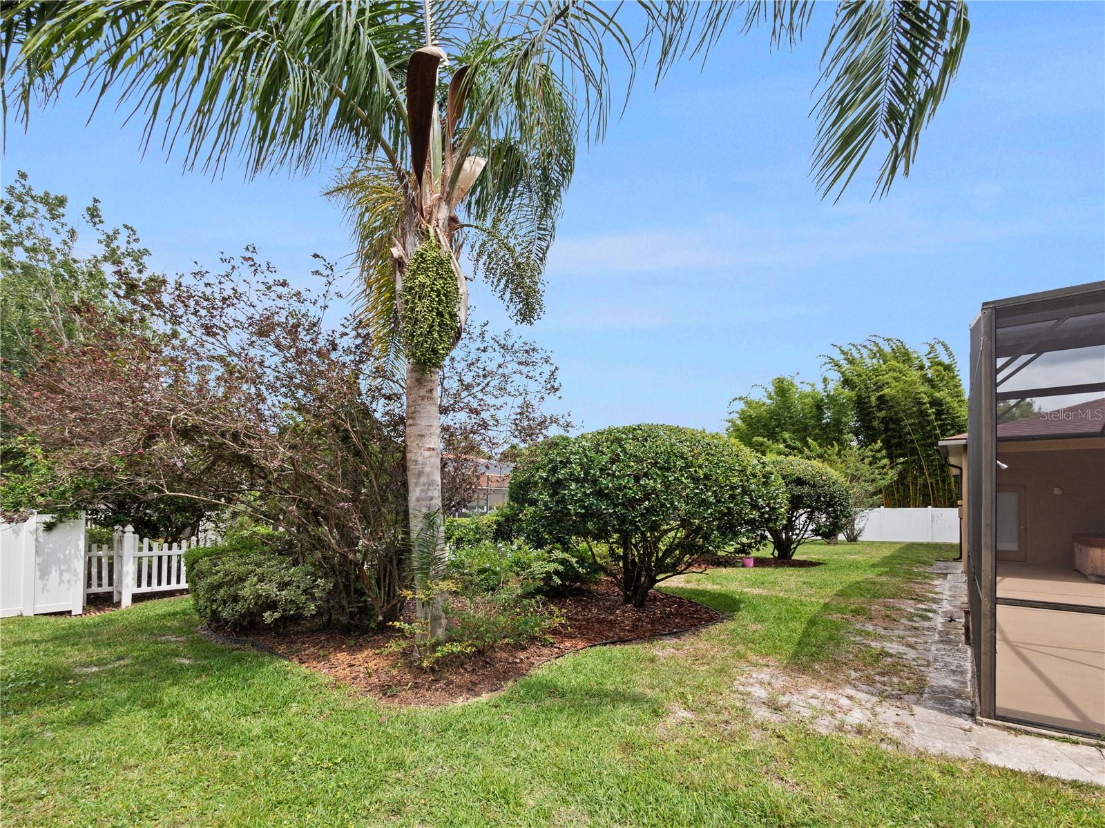Beautifully landscaped backyard