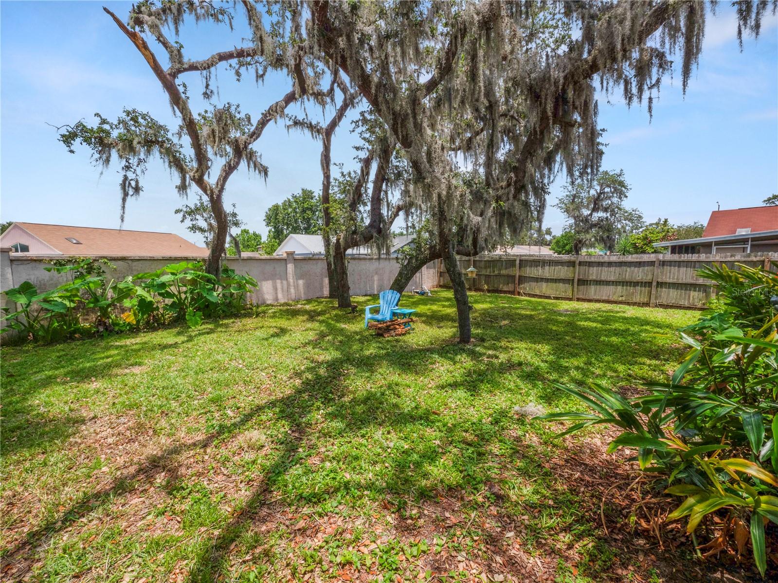 Backyard
