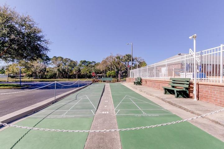 Shuffleboard Courts