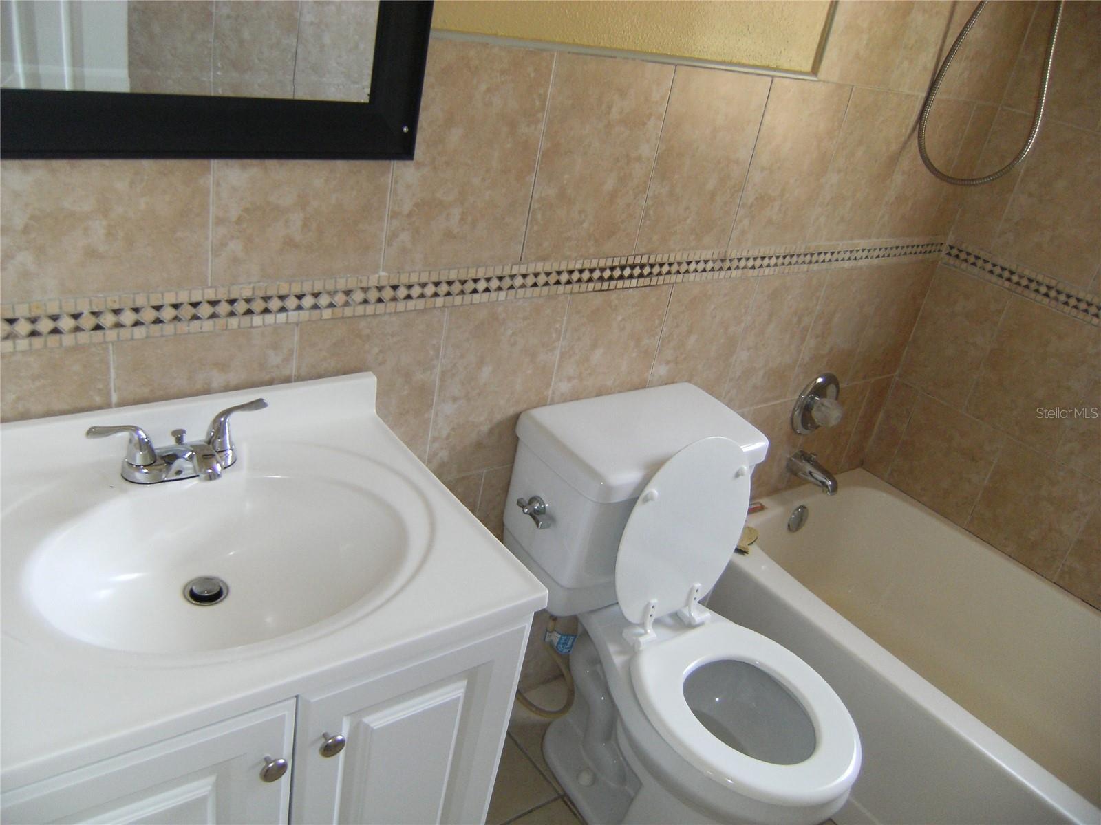 Hall bathroom