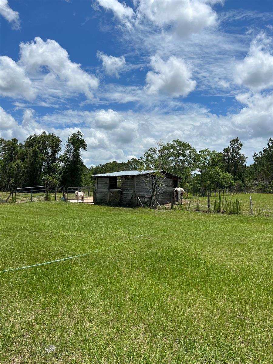 Small Paddock