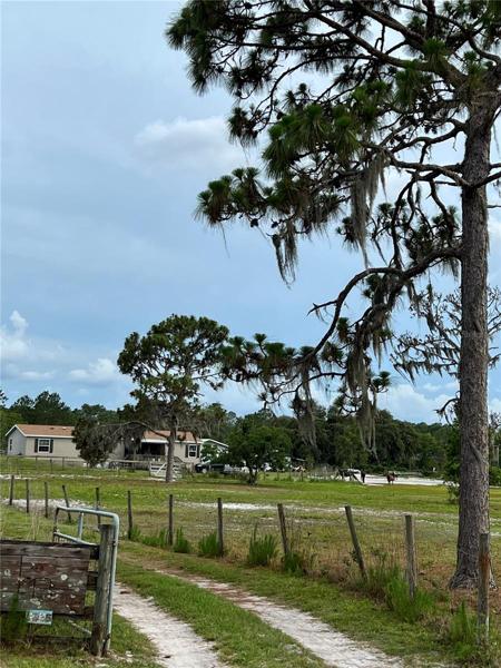 Front Home & Property